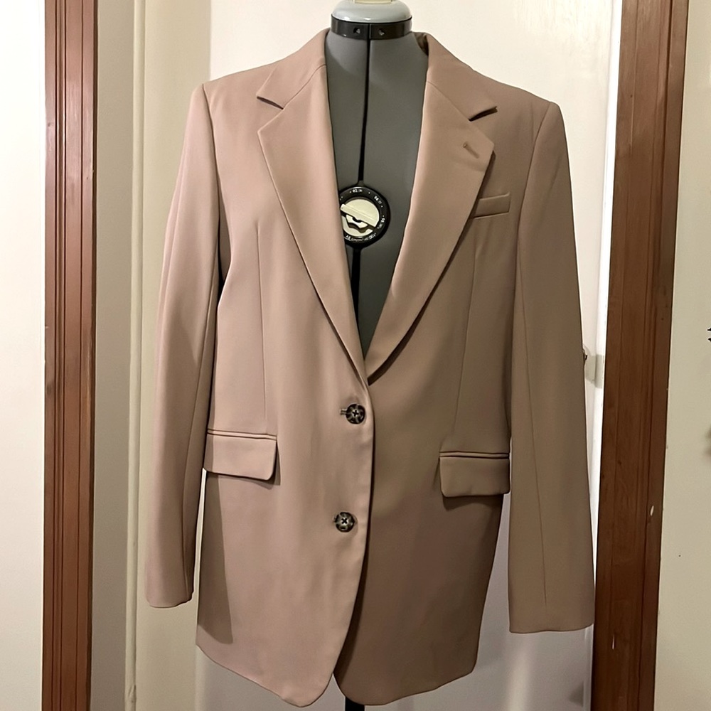 Aritzia Babaton Agency Blazer